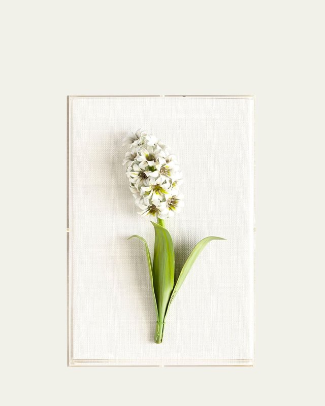 Original Painted Hyacinth Study